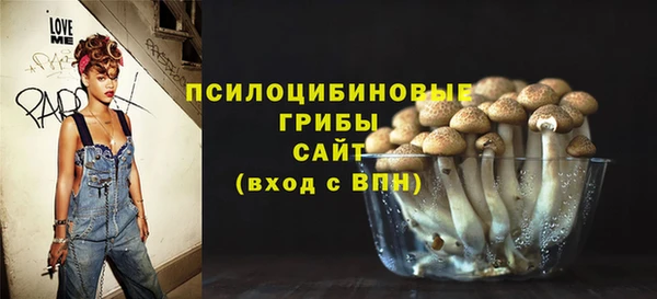мдпв Куйбышев