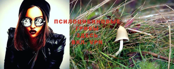 мдпв Куйбышев