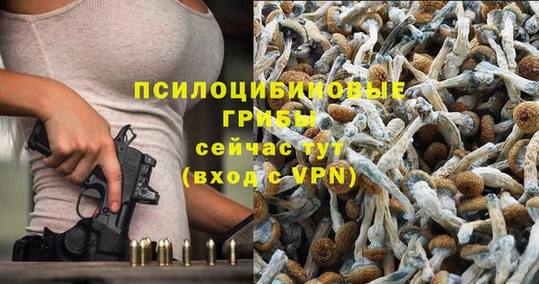 прущий лед Кукмор