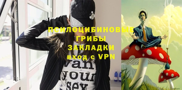 мдпв Куйбышев