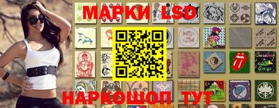 индика Заволжье