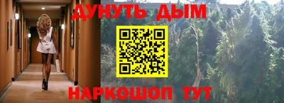 шишки Аргун