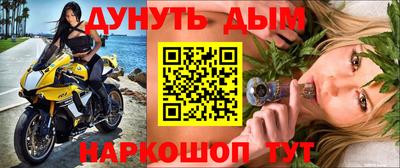 шишки Аргун