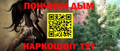 индика Заволжье