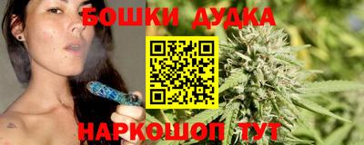крисы Заводоуковск