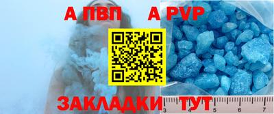 шишки Аргун