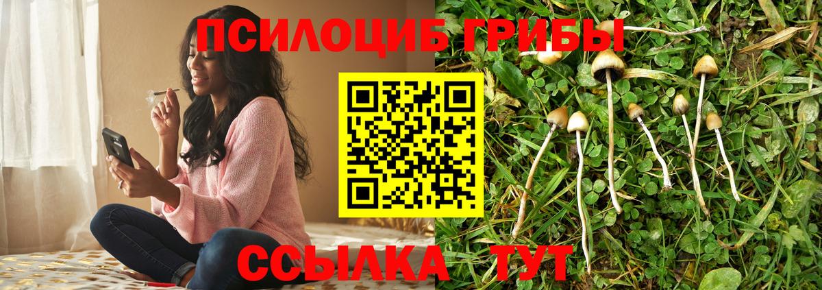 Галлюциногенные грибы Psilocybine cubensis Ханты-Мансийск